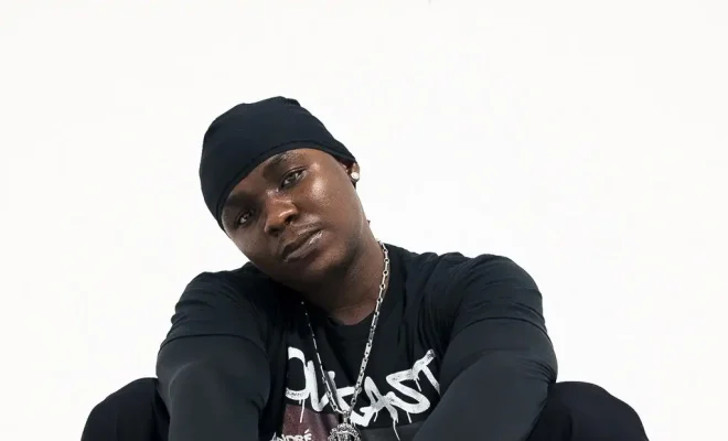 POS explores intensity and attraction in new single “Cock & Bull”