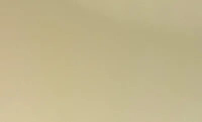 WhatsApp Image 2026-03-18 at 07.21.411