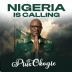 Gospel artist Pius Okogie releases prophetic anthem of intercession “Nigeria Is Calling”